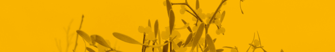 banner banner